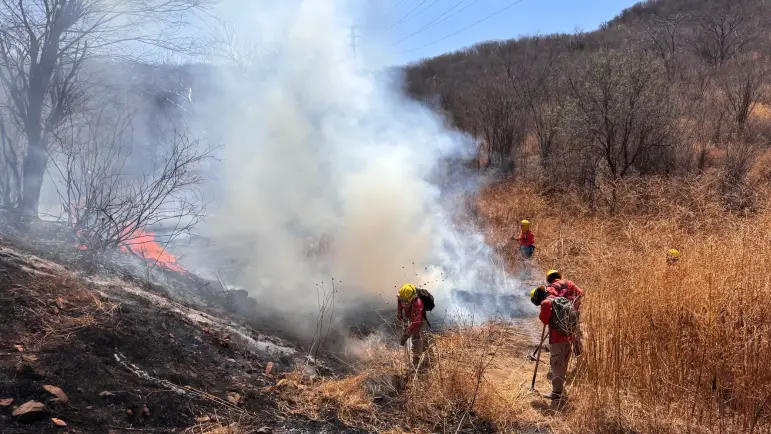 Incendios arrasan cientos de hectáreas en Sonora
