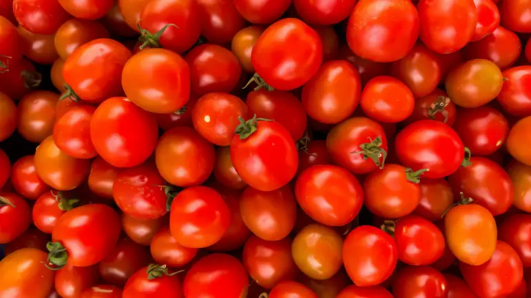 Aranceles de EEUU a tomate mexicano: 20.91%
