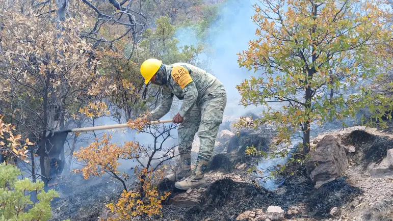 Plan DN-III-E activado en Bavispe por incendio forestal
