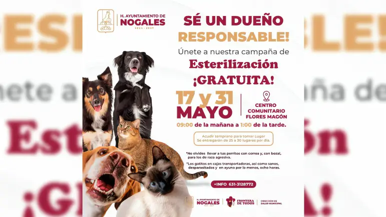 Jornada Gratuita de Esterilización para Mascotas
