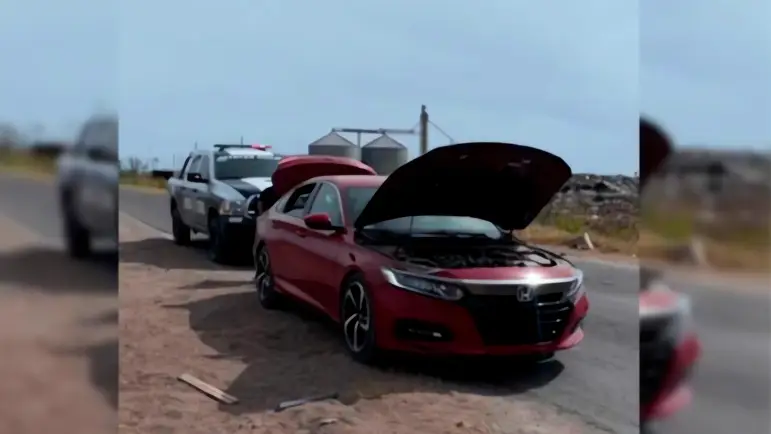 Recuperan vehículos robados en Sonora
