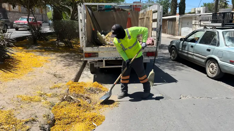 Sabarriendo llega a Colonia Las Bellotas
