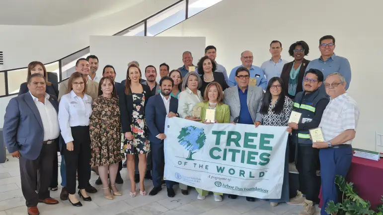 Nogales, Ciudad Árbol: Un Reconocimiento al Entorno Verde
