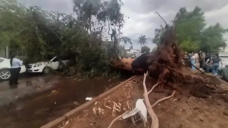 Fuertes lluvias dejan daños y apagones en Sonora
