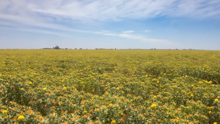 Inscríbete al programa de apoyo para productores agrícolas