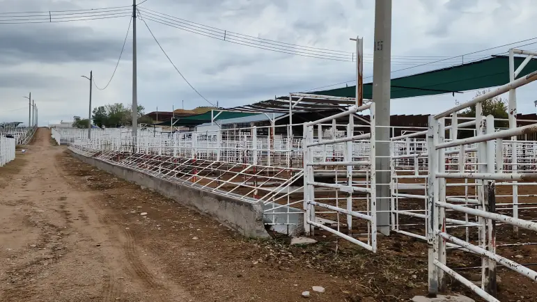 Ganaderos de Sonora esperan noticias positivas tras el cierre de la frontera por alerta sanitaria