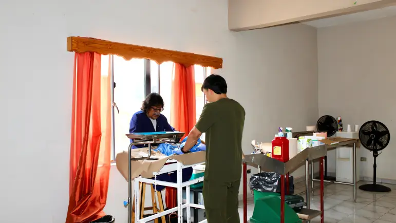 Impulsan esterilización canina y felina en Nogales
