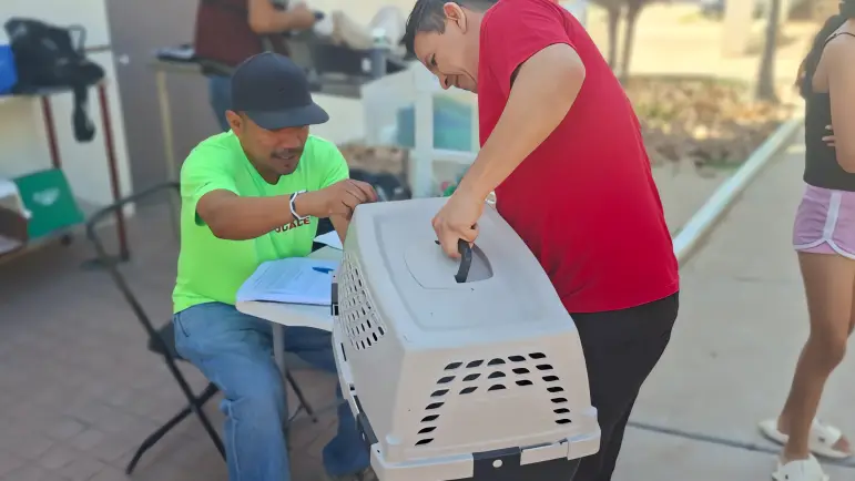 Alerta por jaurías: Nogales aplicará de manera estricta reglamento de protección animal