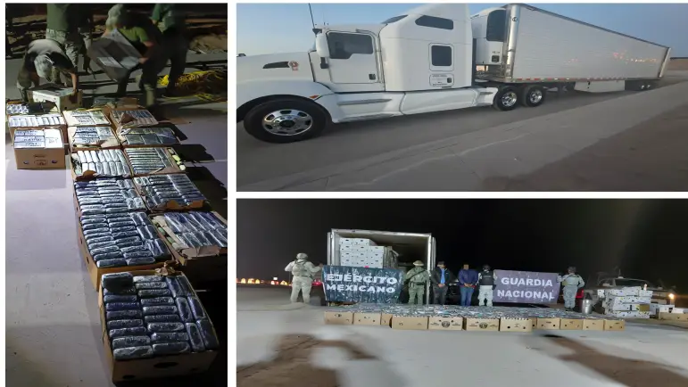 Hallan más de 1.8 toneladas de cocaína en operativo de revisión en San Luis Río Colorado