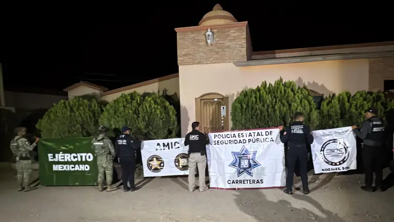 Hallan invernadero ilegal con más de 220 plantas de marihuana en Magdalena