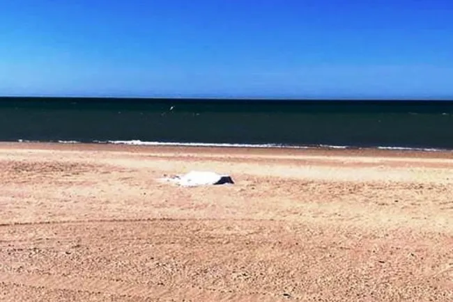 Muere ahogado  unresidente de Arizona