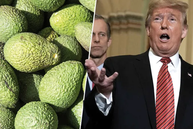 Sería catastrófico cierre de frontera