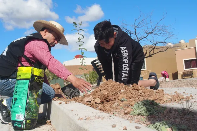 Reforestan colonia citadina
