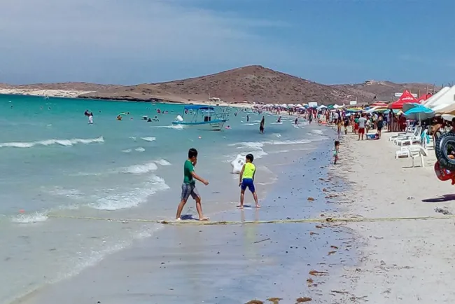 Llaman a proteger aniños en vacaciones