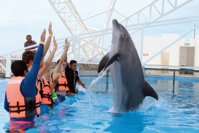 Registran excelente afluencia