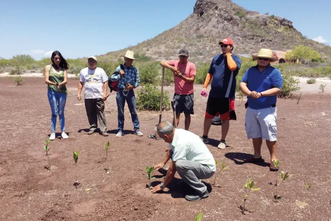 Se unen vacacionistas a celebración