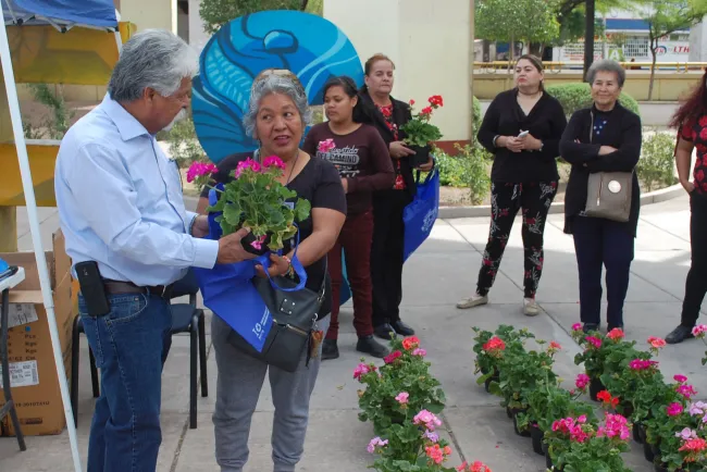 Entregan 150 plantasde ornato en Nogales