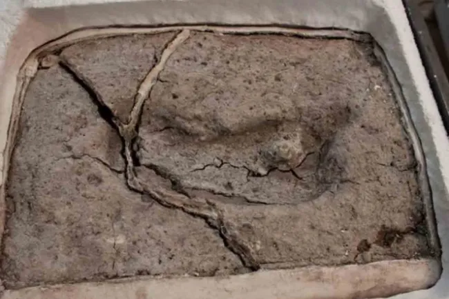 Descubren la huella humana más antigua del mundo