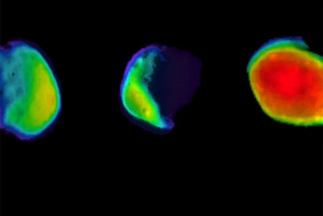 NASA muestra imágenes espectaculares de Luna llena en Marte
