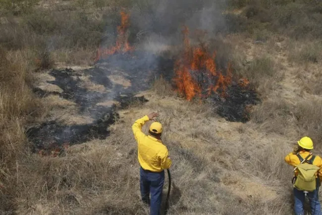 Emiten declaratoria de emergencia en 11 municipio de Oaxaca