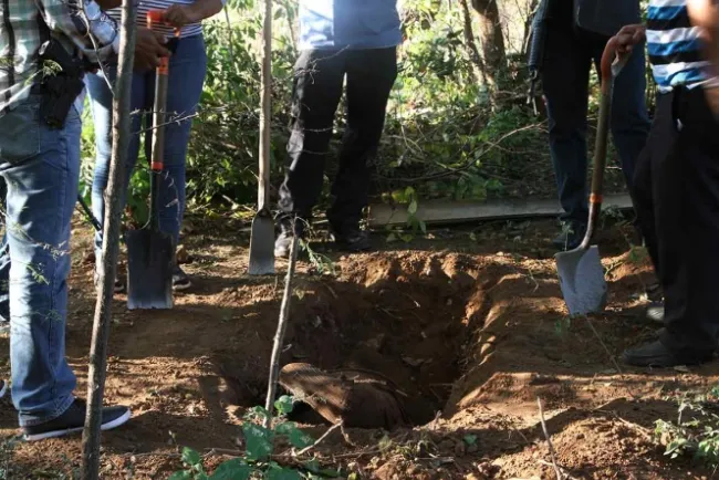 En 6 meses hallan 222 fosas ilegales y exhuman 337 cuerpos