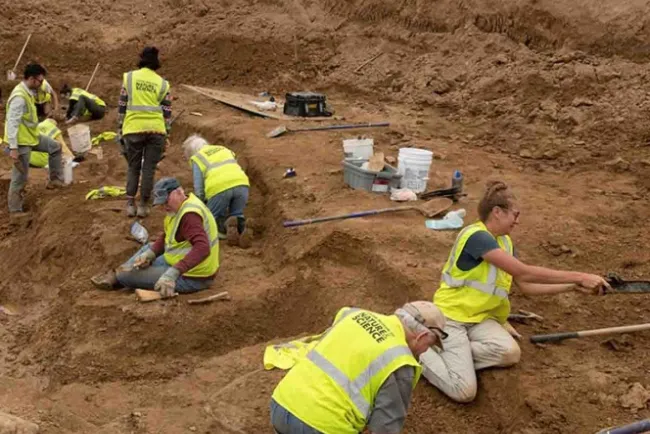 Descubren fósil de extraño dinosaurio con cuernos en EU