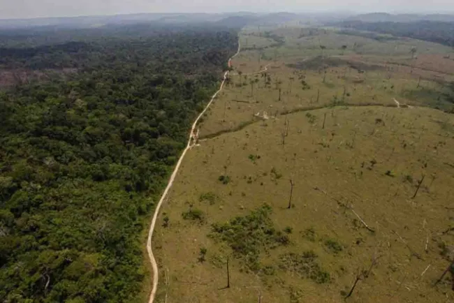Deforestación en la Amazonía de Brasil crece a ritmo aterrador
