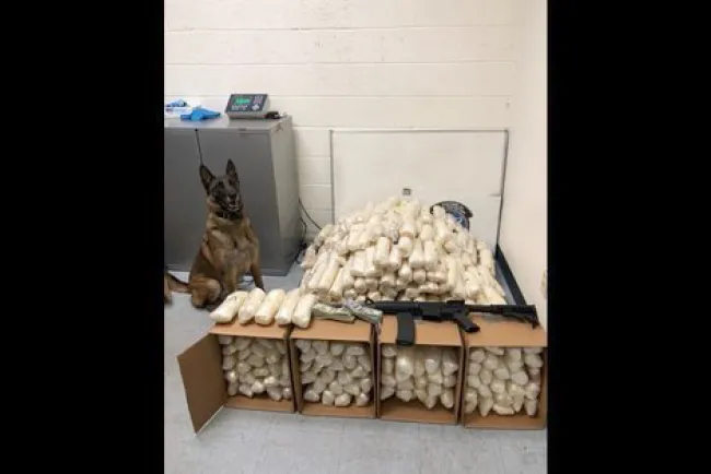 Traía droga, armas y dinero; preso