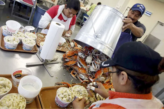 Otorga EU 30 mil visas de trabajo