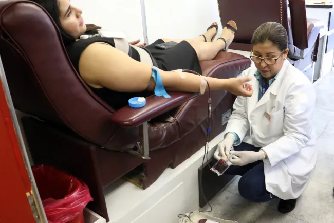 Exhortan a donar por altruismo