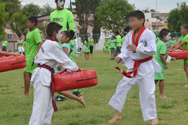 Invitan a los cursos de verano de IMSS
