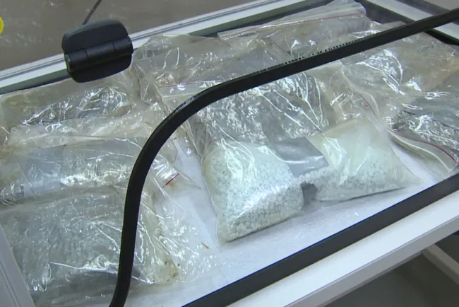 Asegura 73 mil píldoras de fentanilo