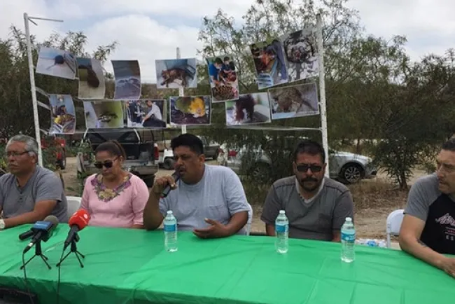 Acusan muerte masiva de animales en zoológico de Tijuana