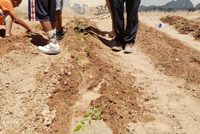 Capacitan a jóvenes de ITAMA
