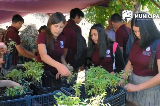 Crean huertos en la  Preparatoria Municipal