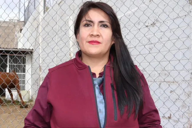 Llaman a atender a las mascotas