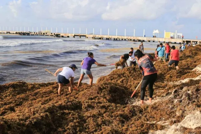 ‘Lo del Sargazo… lo vamos a resolver sin problemas’