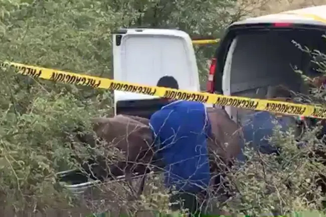 Hallan hombre sin vida en Mascareñas