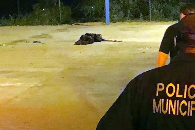 Muere mujer arrollada en carretera