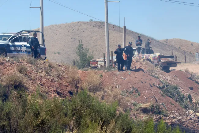 Denuncian robo de caballo