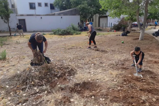 Colaboran a reforestar varios puntos citadinos
