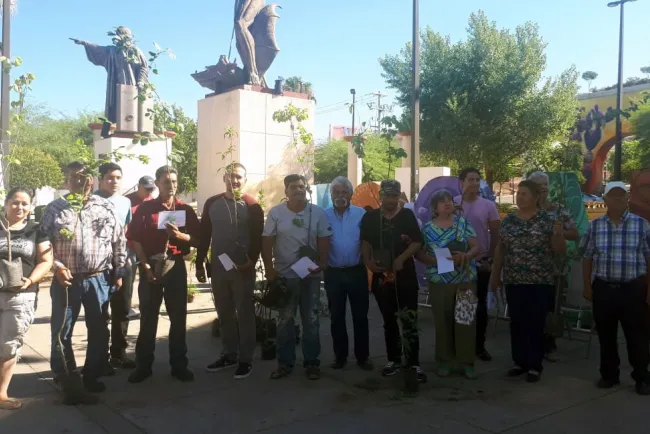Celebrarán en Nogales el Día del Árbol el 11 de Julio