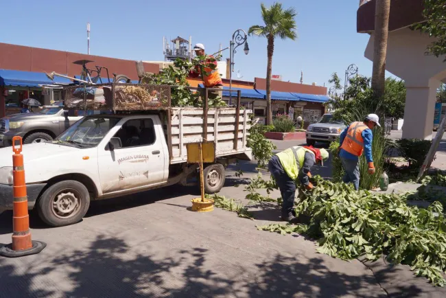 Rehabilitan fuentes de espacios públicos