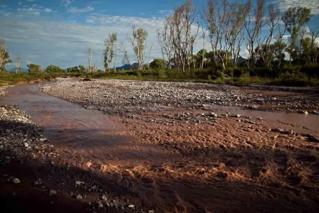 Piden retirar concesión a Grupo México por ecocidios en Sonora