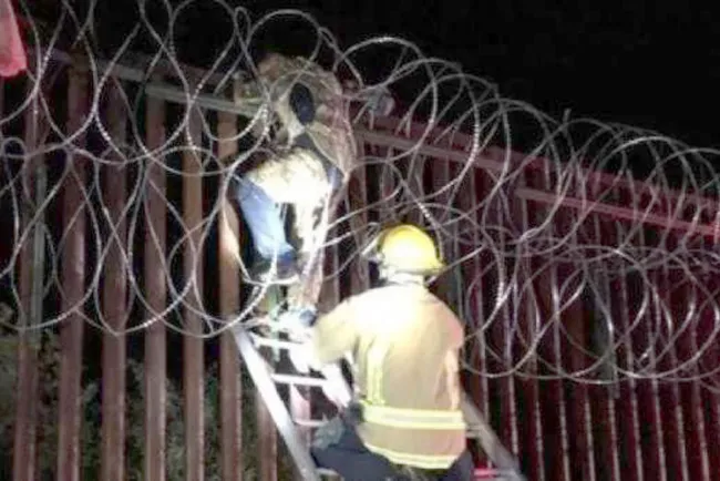 Se queda hombre atrapado en el muro