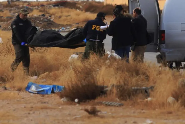 Hallan 28 restos óseos en fosas clandestinas en Chihuahua