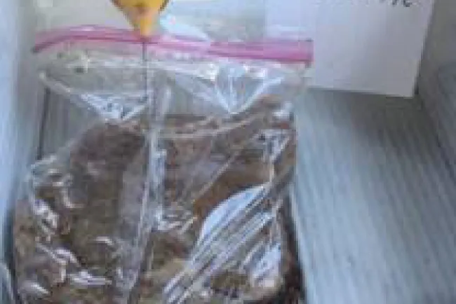 Urge mejorar condiciones a trabajadores postales