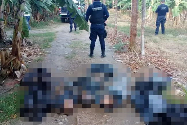 Hallan cinco cuerpos embolsados en Veracruz