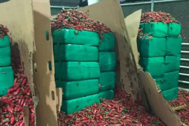 Decomisan droga entre jalapeños