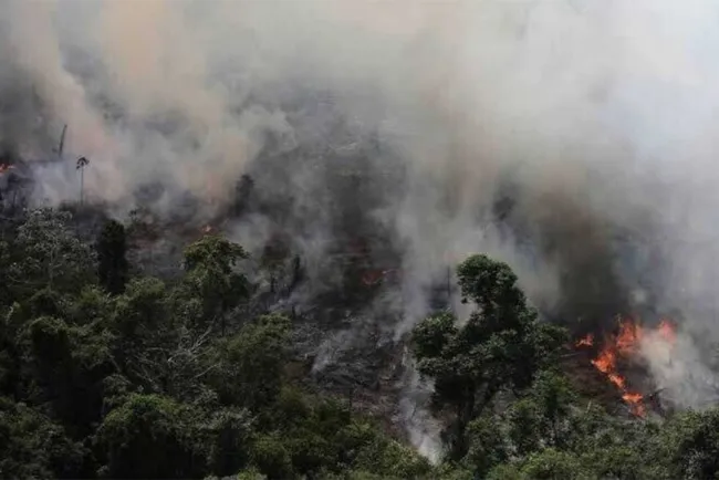 Arde la Amazonia sin control, con miles de incendios activos